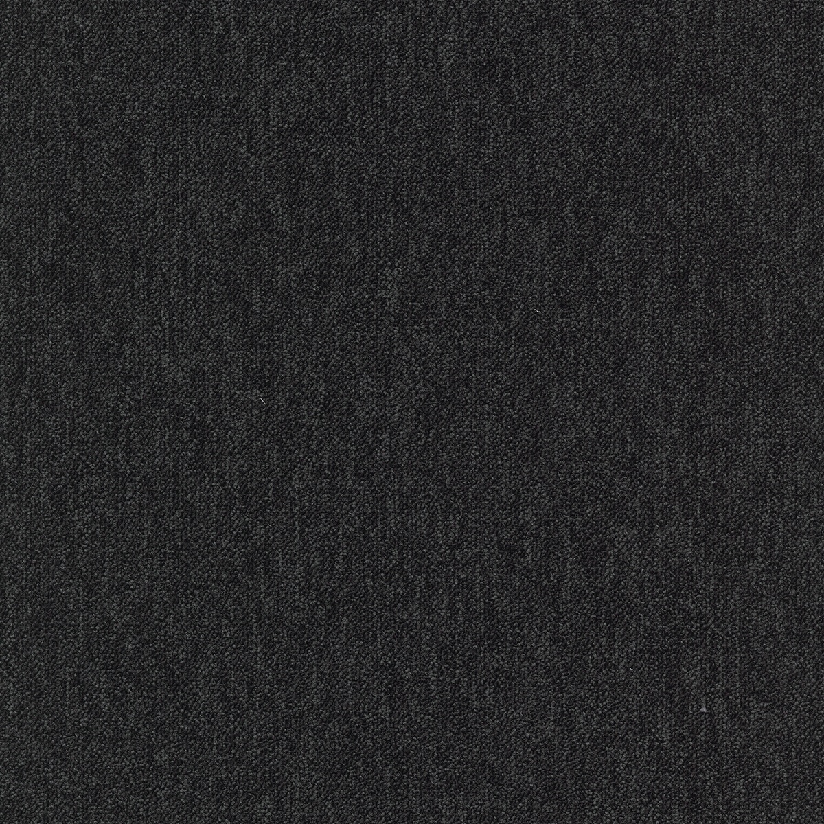 cleartex-incati-coral-583-51