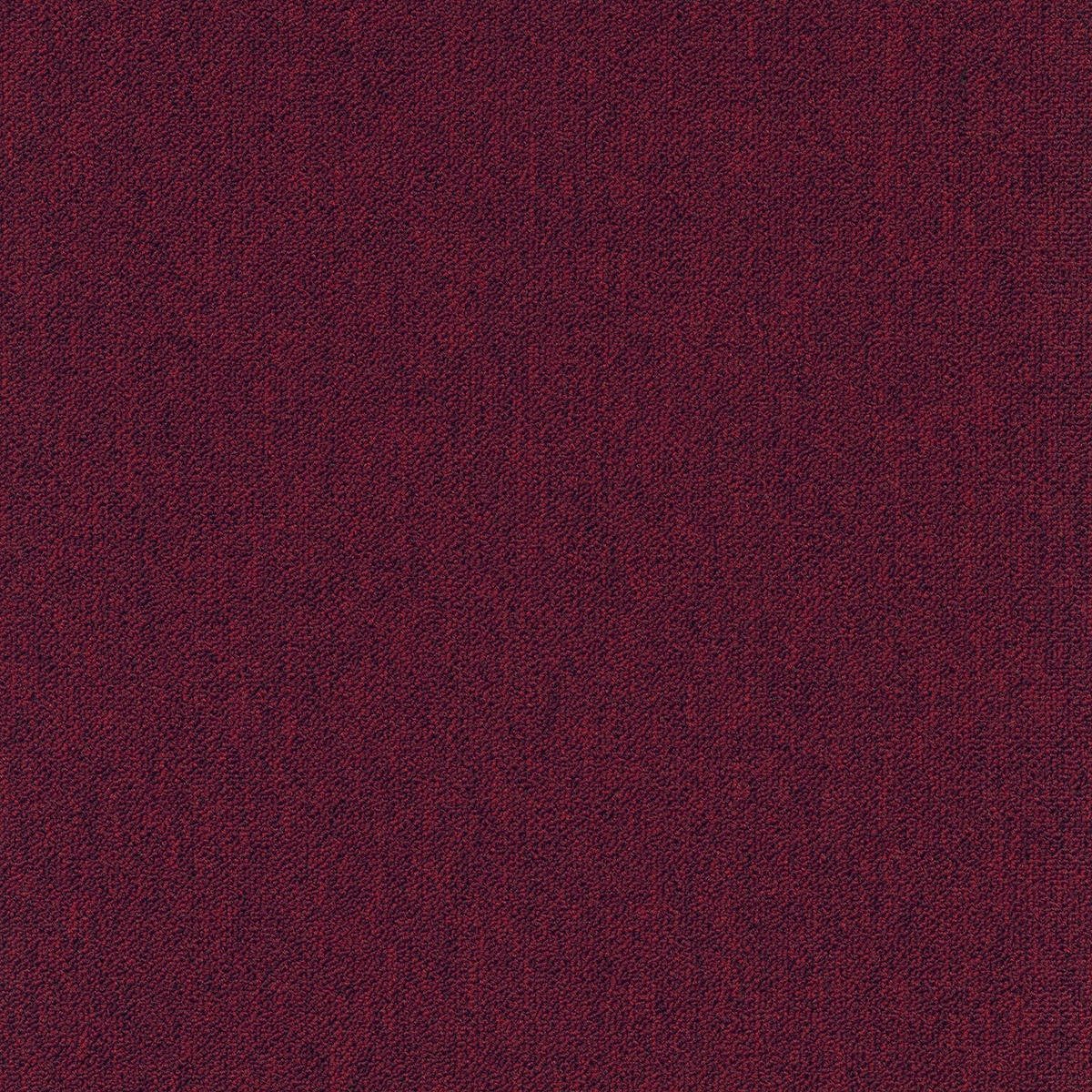 cleartex-incati-coral-583-80