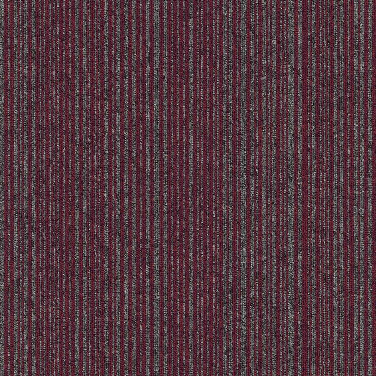 cleartex-incati-coral-603-80