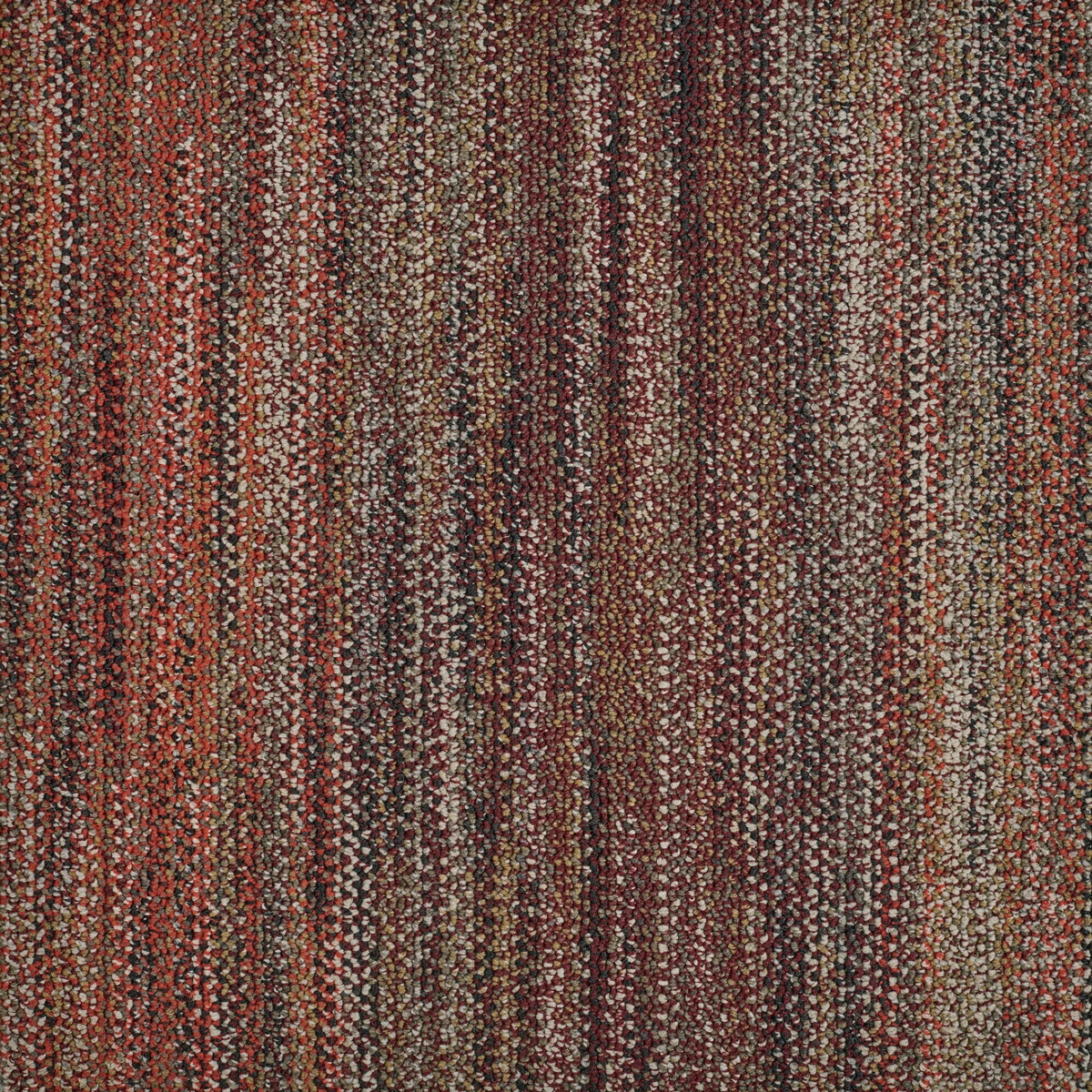 cleartex-incati-fresco-589-80