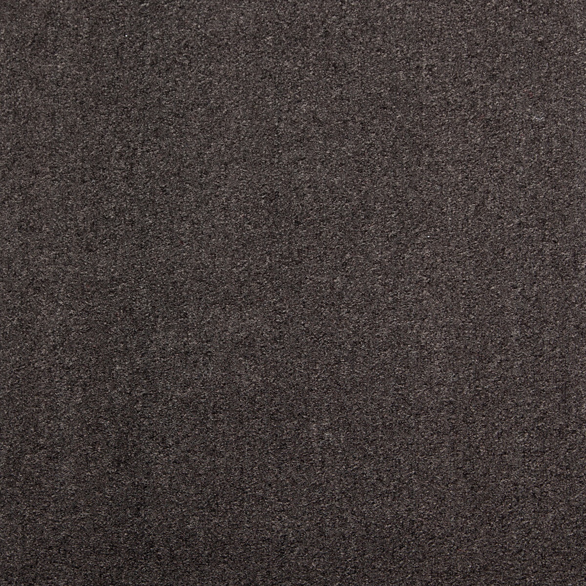 cleartex-incati-lisbon-515-30