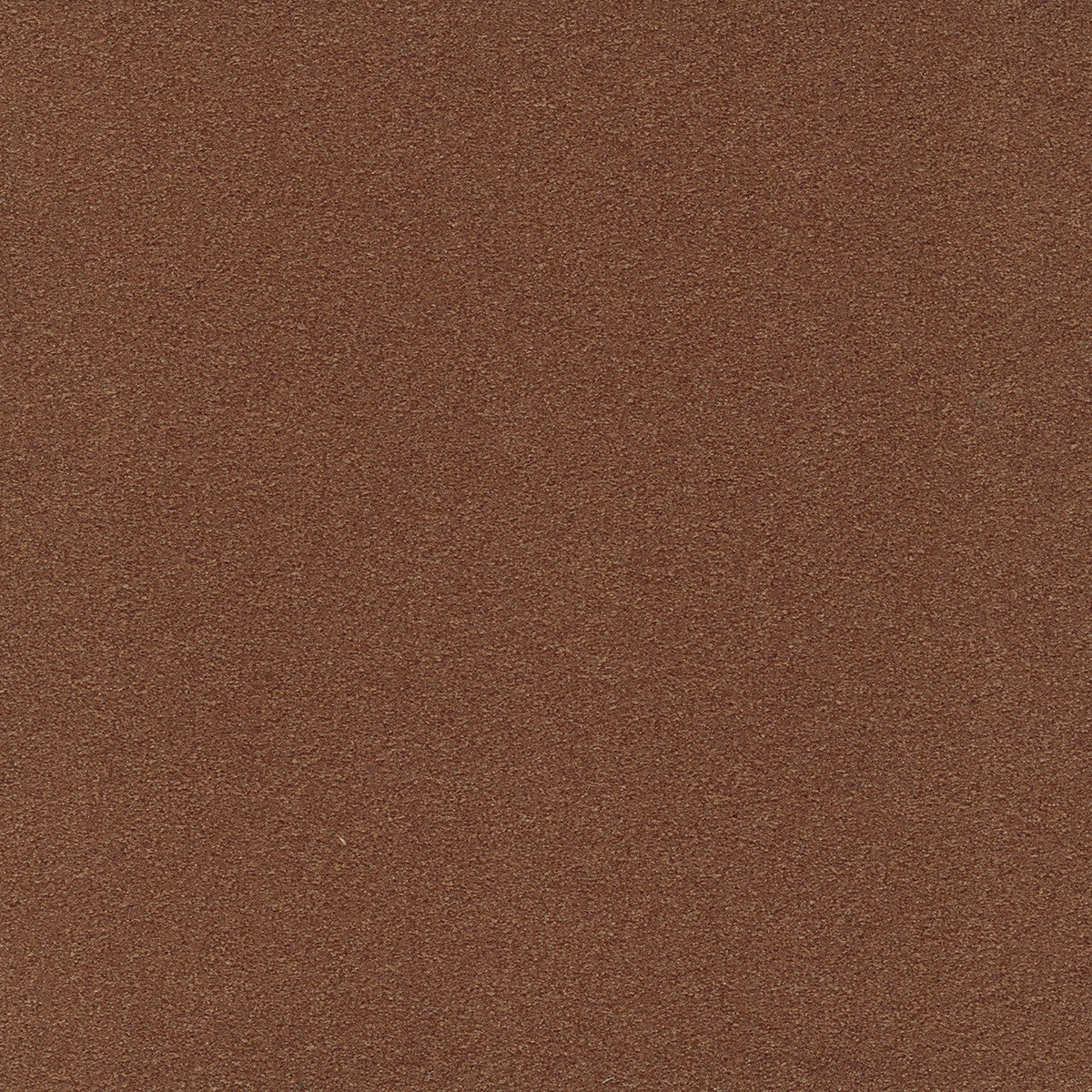 cleartex-incati-lisbon-515-38