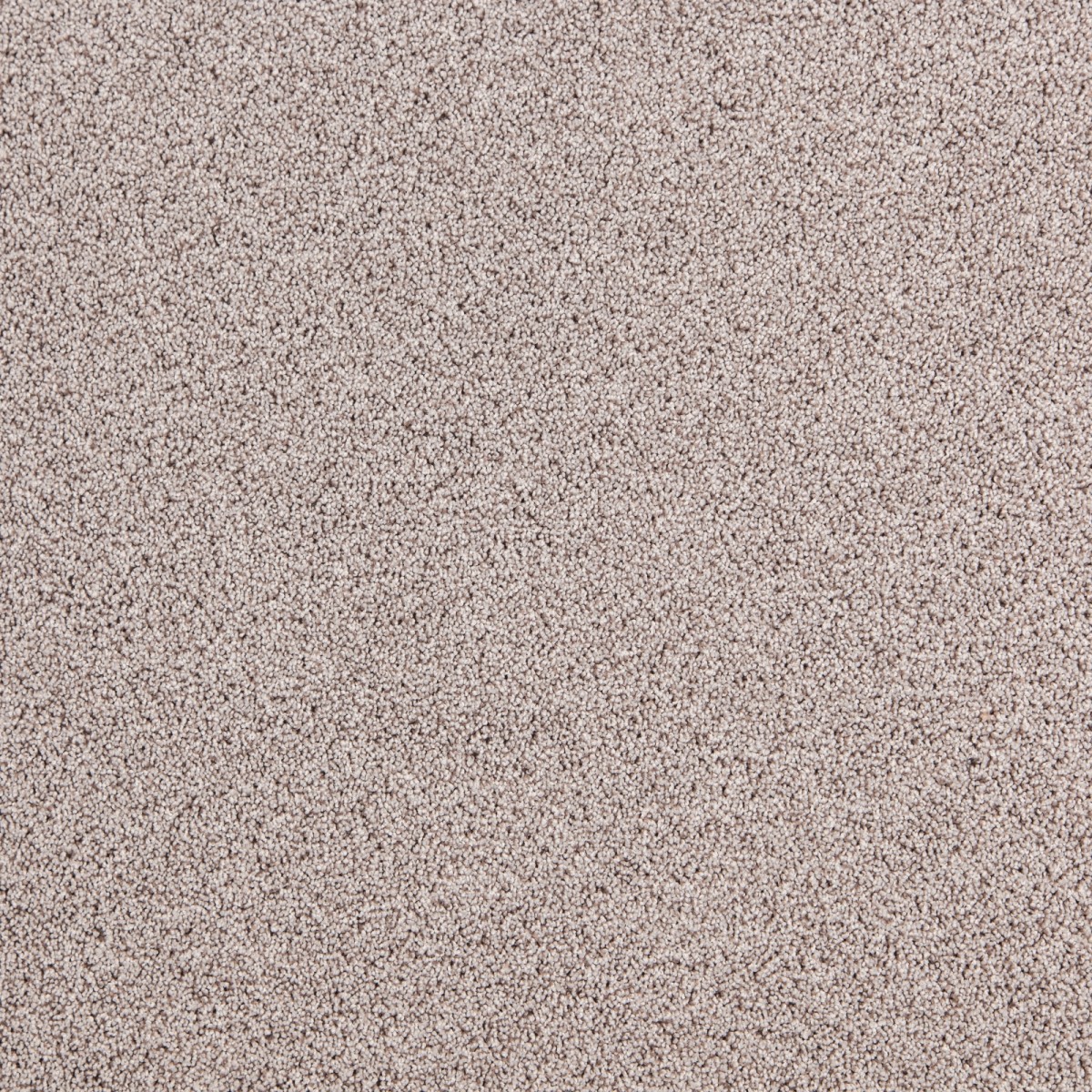 cleartex-incati-president-e-533-10