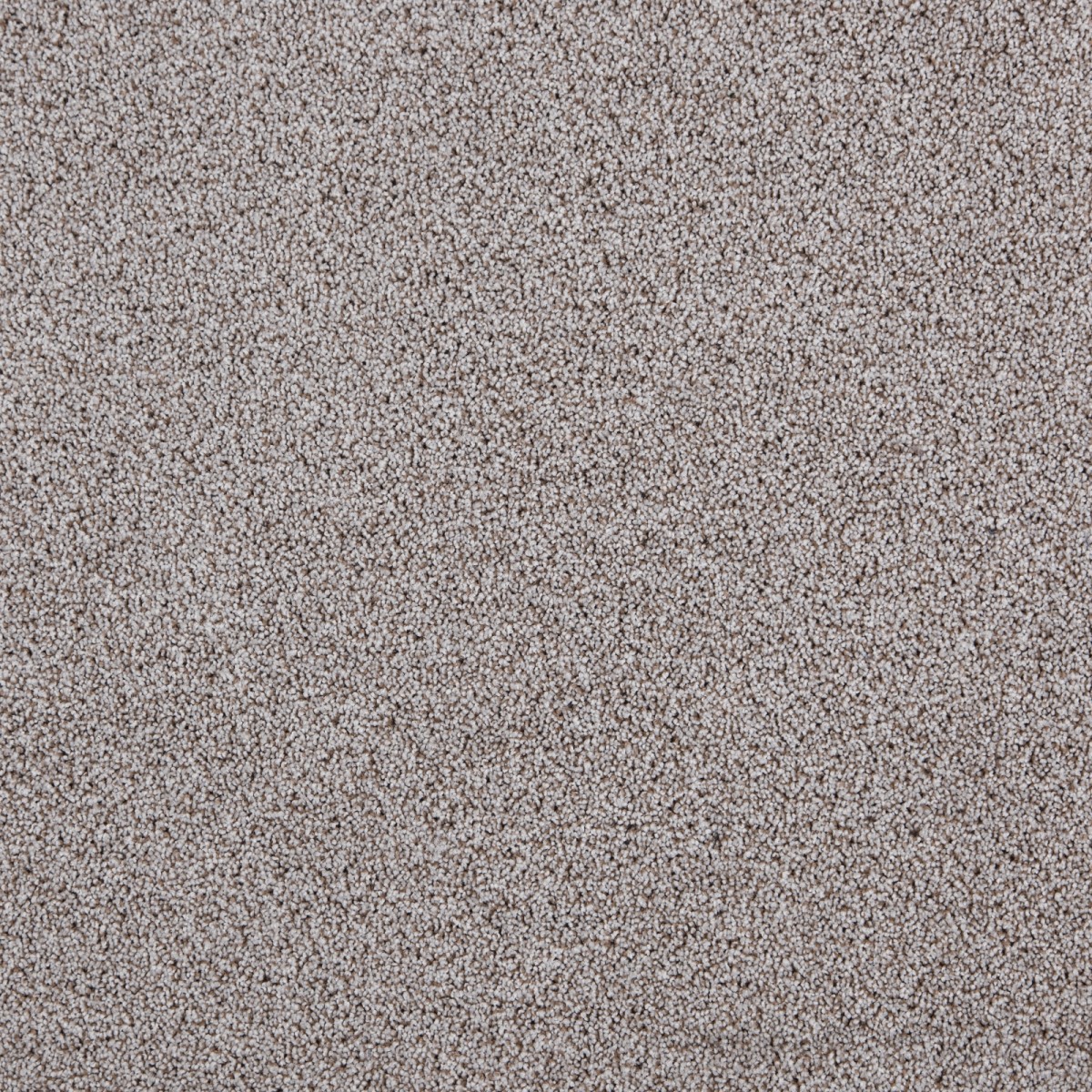 cleartex-incati-president-e-533-21