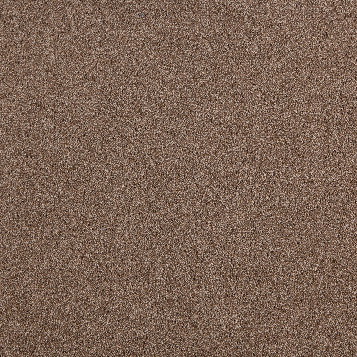 cleartex-incati-president-e-533-22