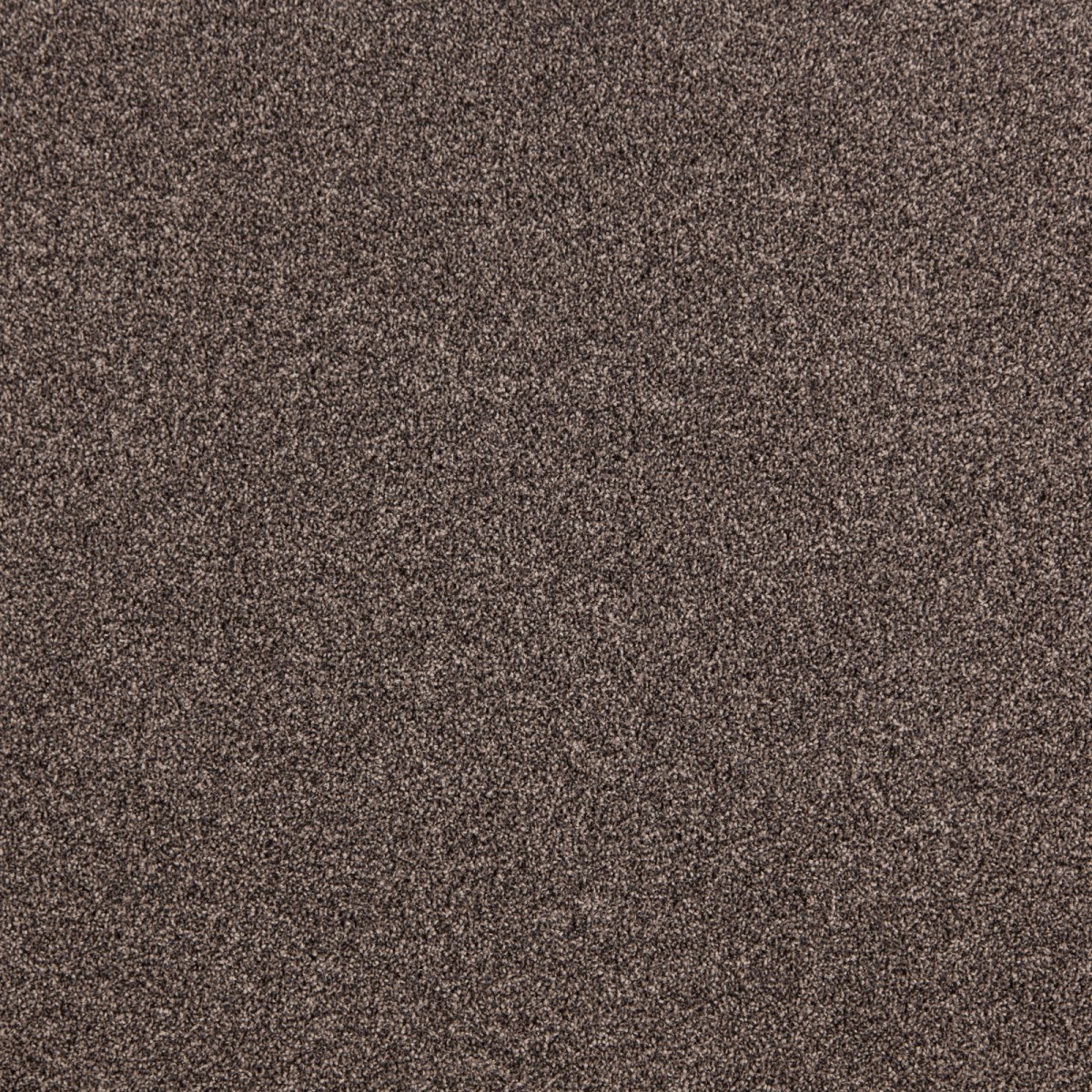 cleartex-incati-president-e-533-32