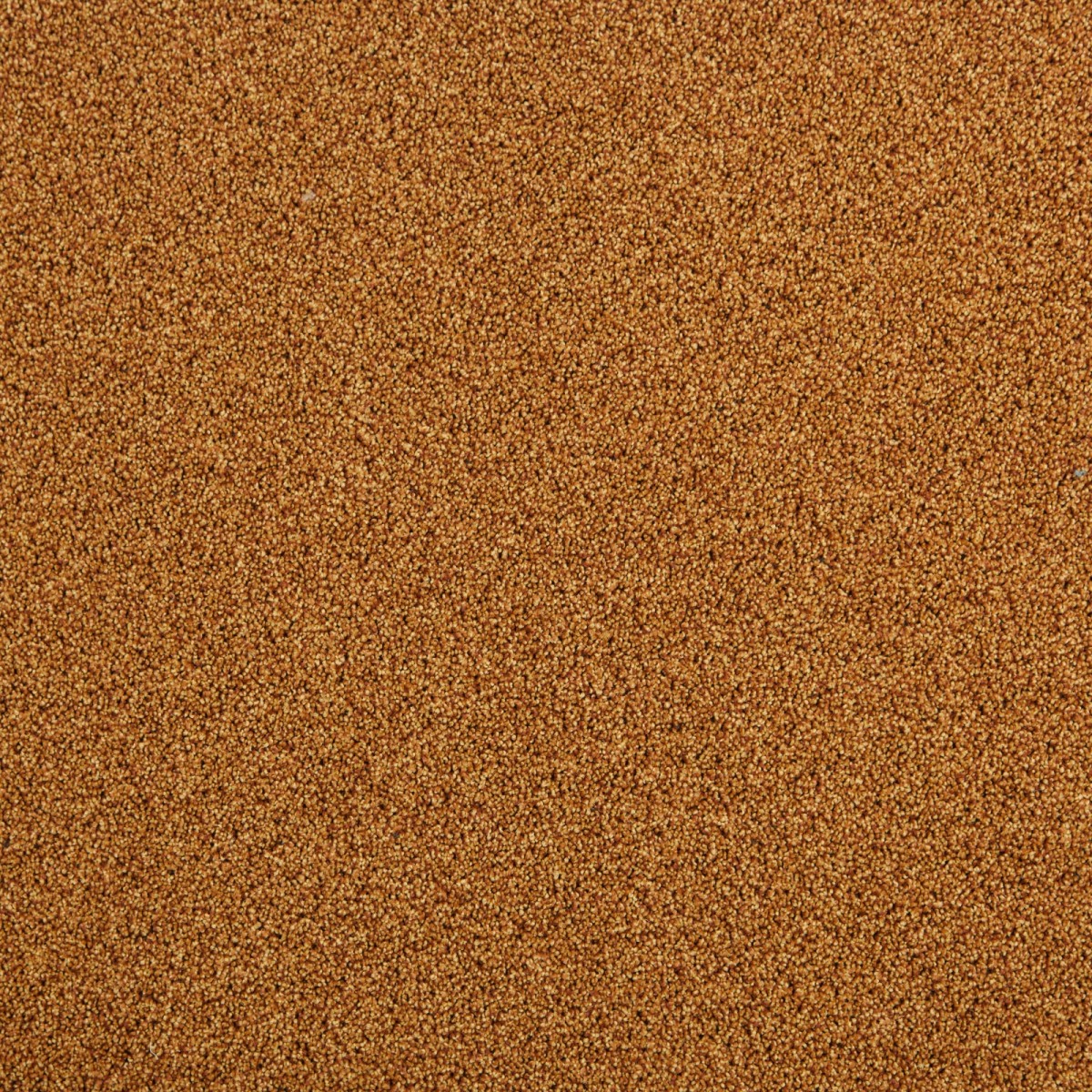 cleartex-incati-president-e-533-48