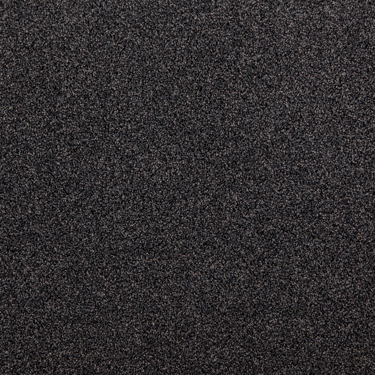 cleartex-incati-president-e-533-50