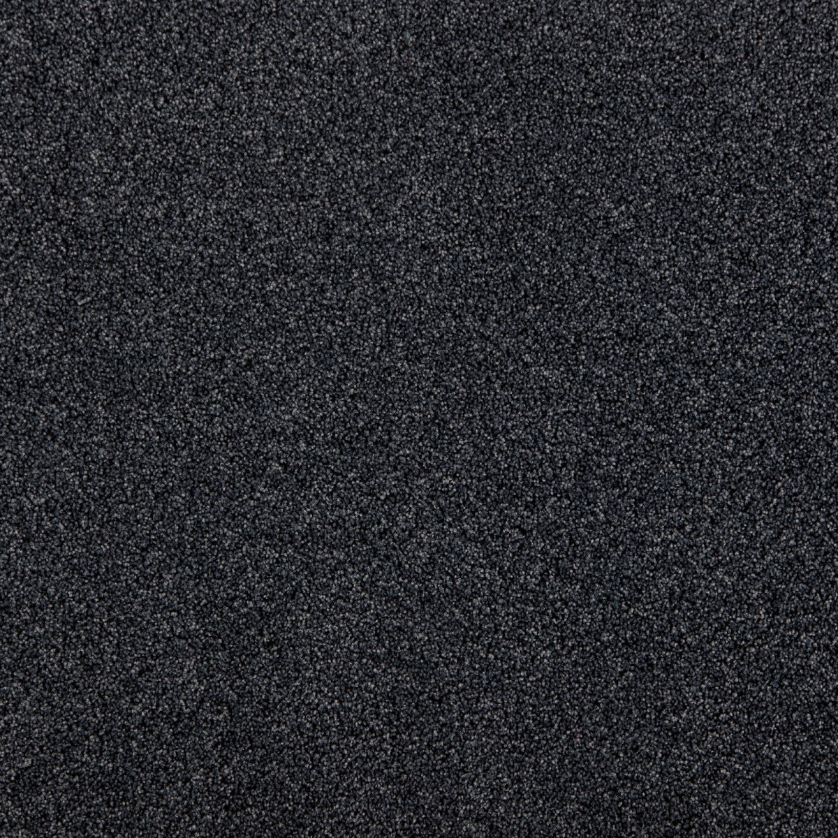 cleartex-incati-president-e-533-51