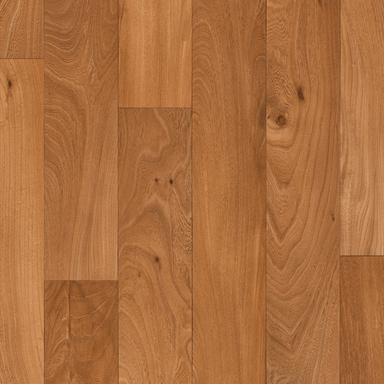 cleartex-ivc-heterogen-concept70-equador-t45