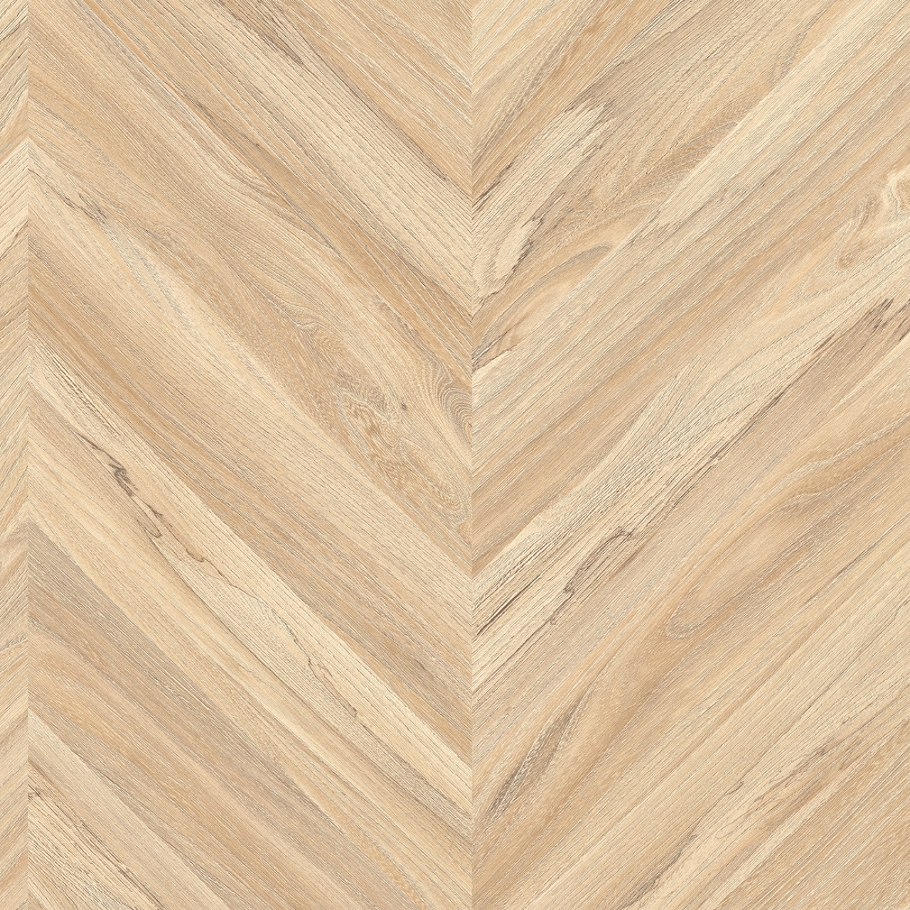 cleartex-ivc-heterogen-concept70-olympus-t33