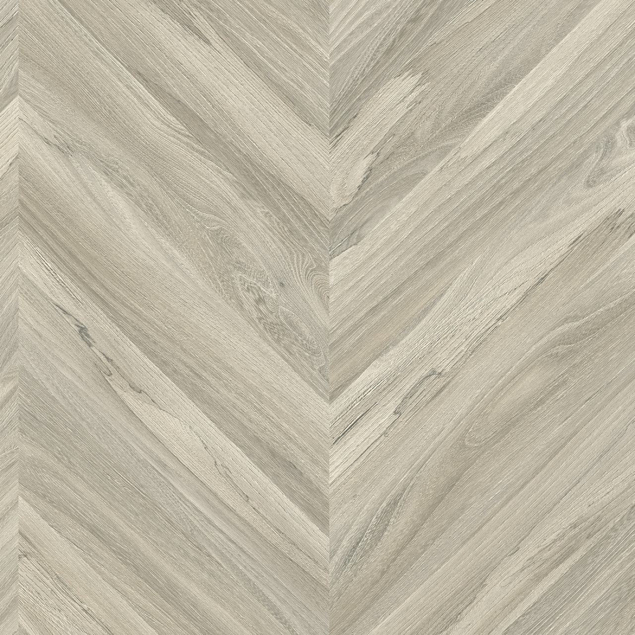 cleartex-ivc-heterogen-concept70-olympus-t91