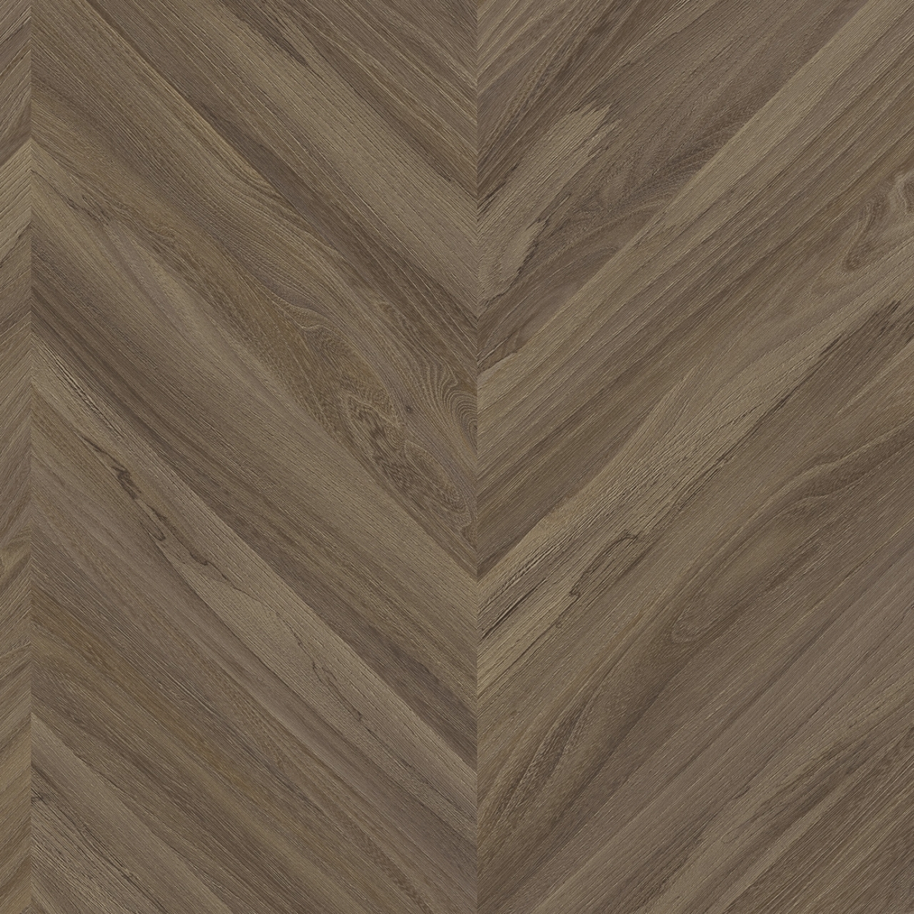 cleartex-ivc-heterogen-concept70-olympus-t95