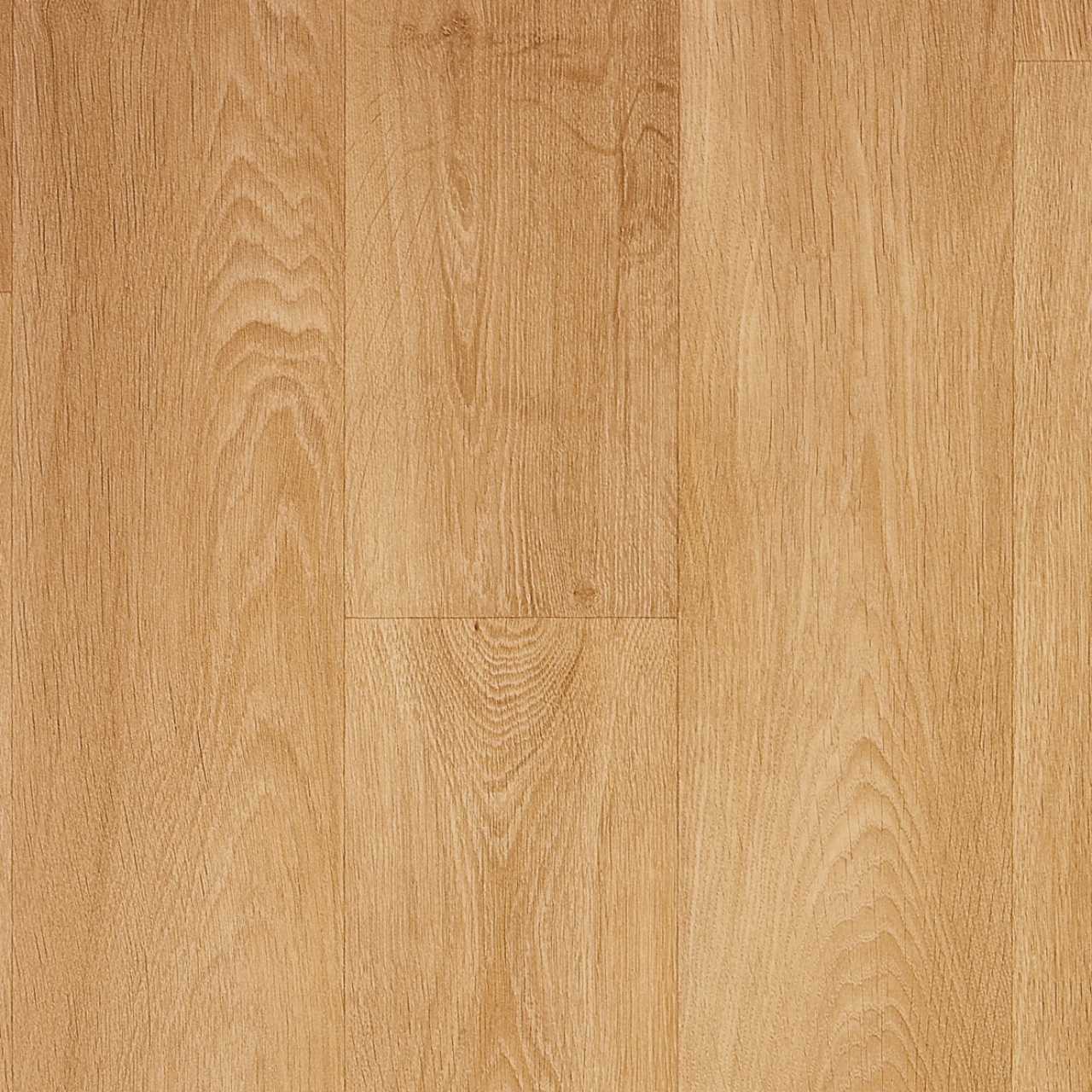 cleartex-ivc-heterogen-concept70-toronto-t31