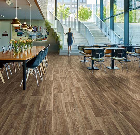 cleartex-forbo-eternal-de-lux