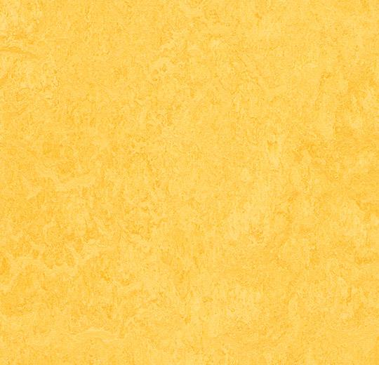 cleartex-forbo-marmoleum-click-333251-lemon-zest