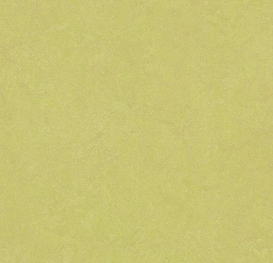 cleartex-forbo-marmoleum-click-333885-spring-buds