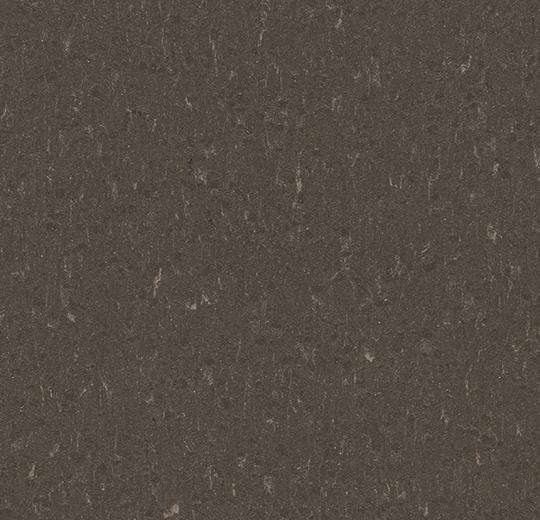 cleartex-forbo-marmoleum-piano-3632-sealion
