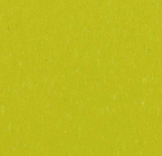 cleartex-forbo-marmoleum-piano-3646-young-grass