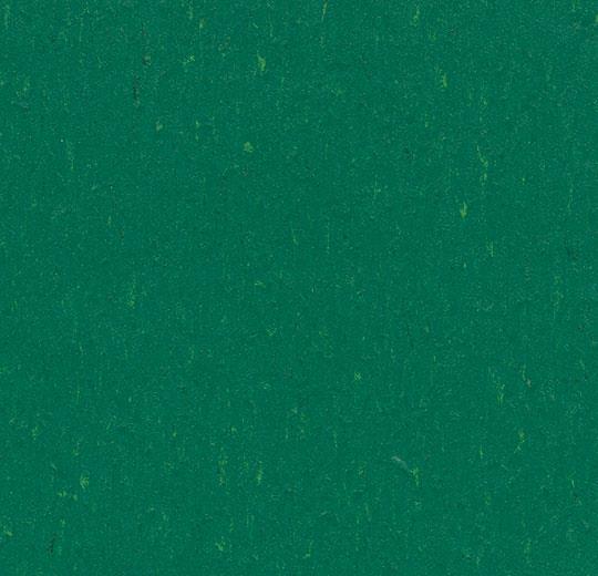 cleartex-forbo-marmoleum-piano-3649-greenwood