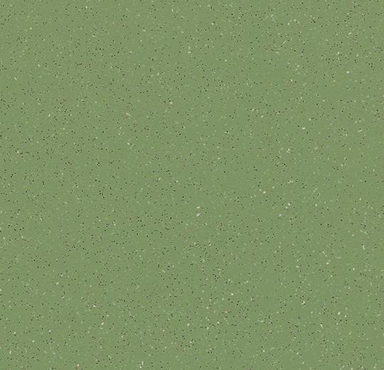 cleartex-forbo-solidstep-179672-jungle