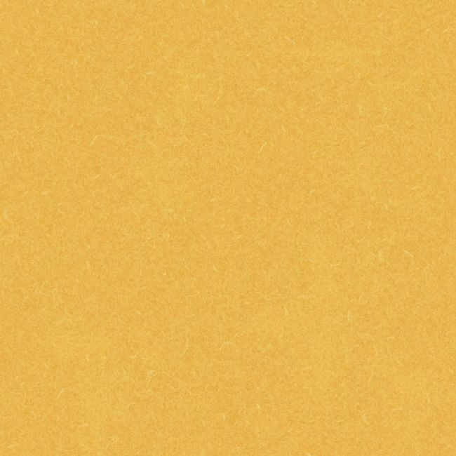 cleartex-grabo-sk-acoustic-9-455-884