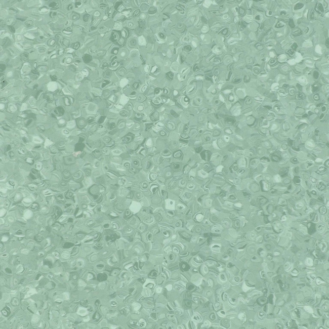 cleartex-grabo-sk-fortis-cactus