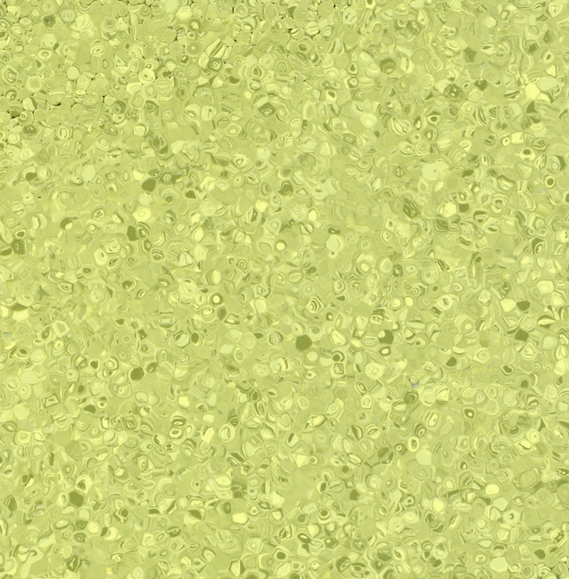 cleartex-grabo-sk-fortis-kiwi