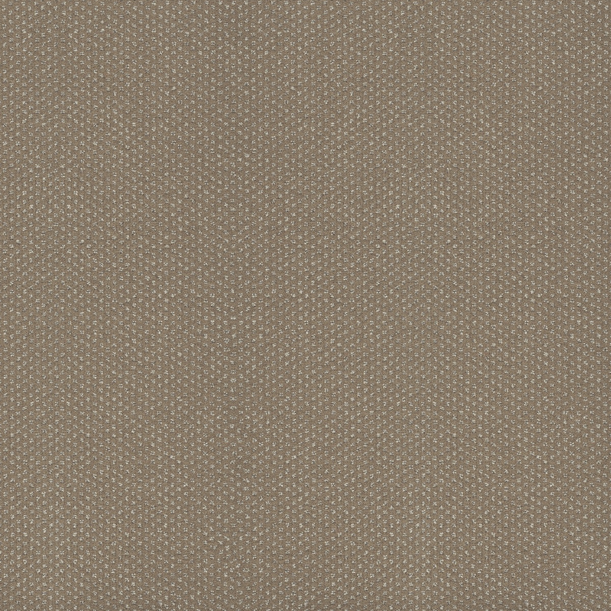 cleartex-incati-milanoII-609-20