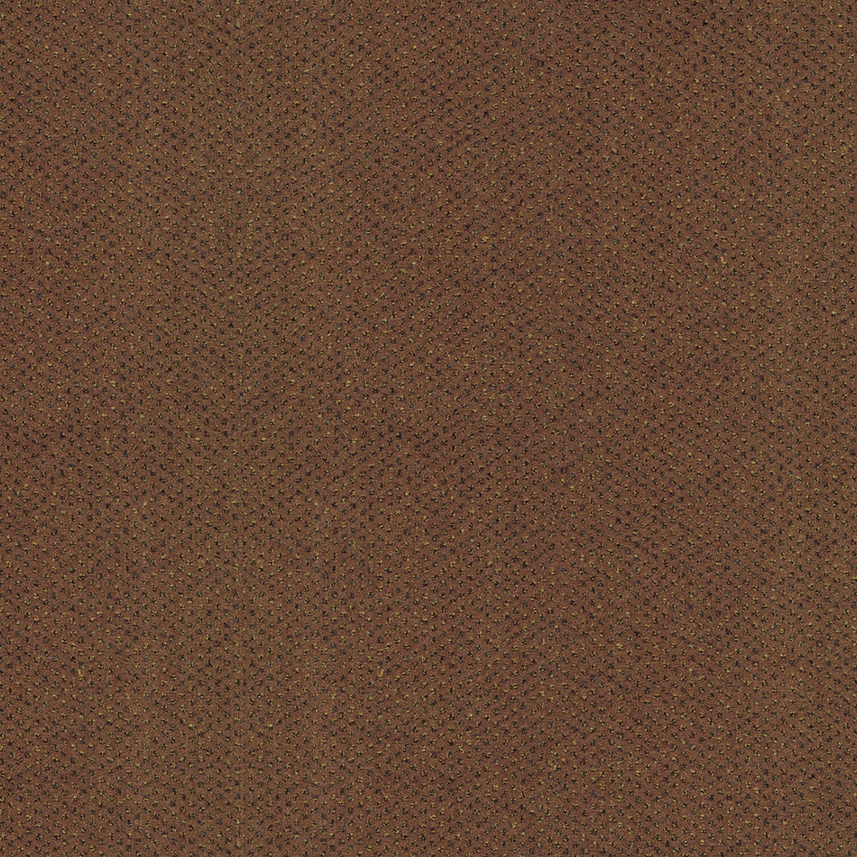 cleartex-incati-milanoII-609-38