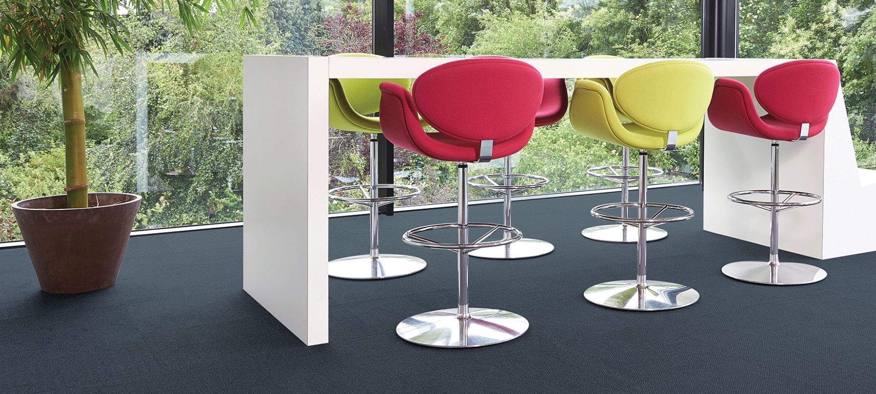 cleartex-incati-milanoII