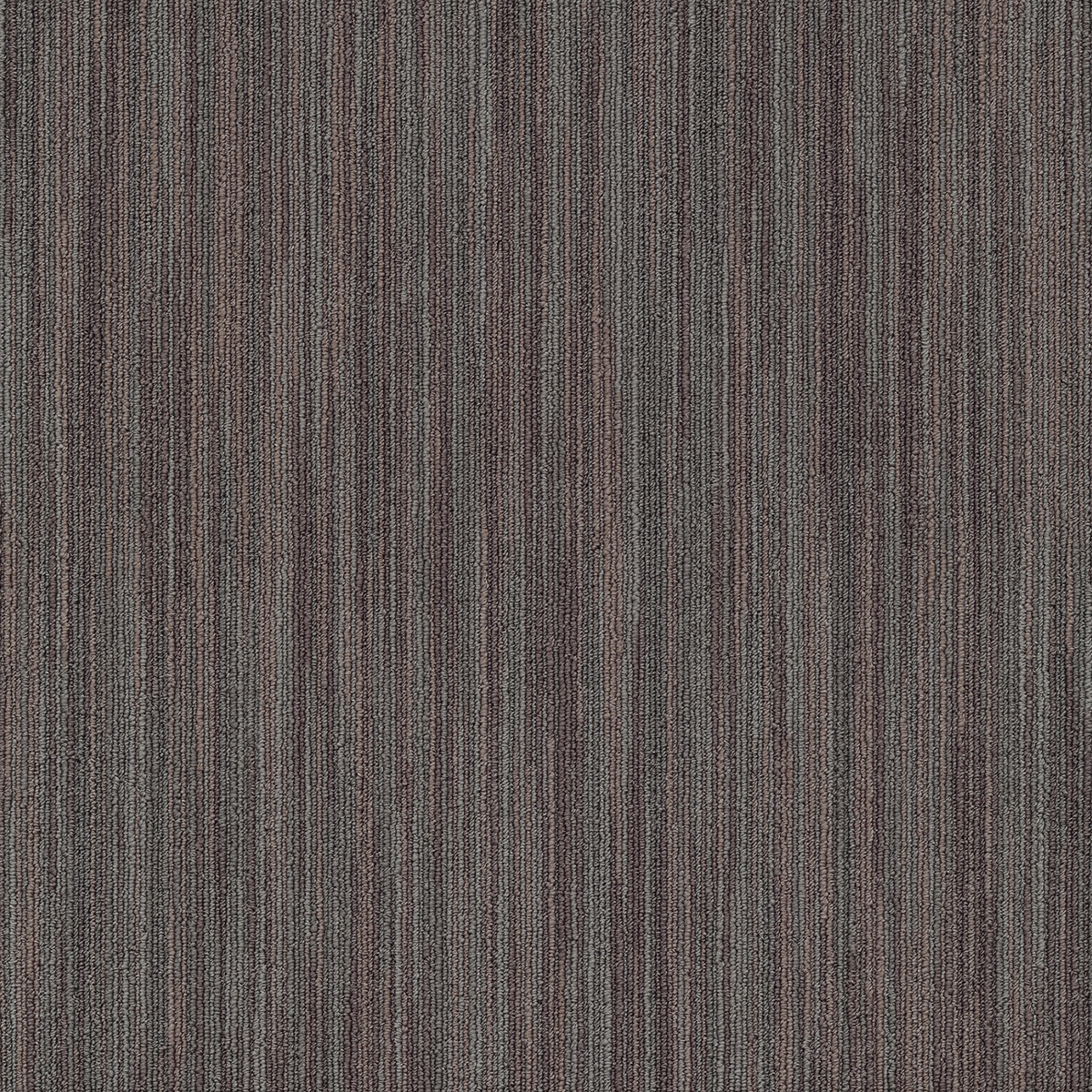 cleartex-incati-mistral-488-31