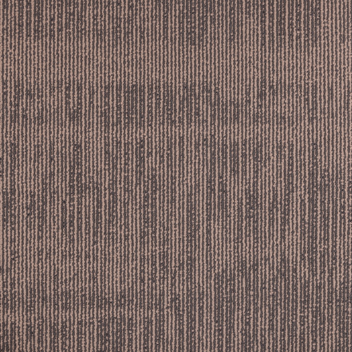 cleartex-incati-myriad-script-544-24