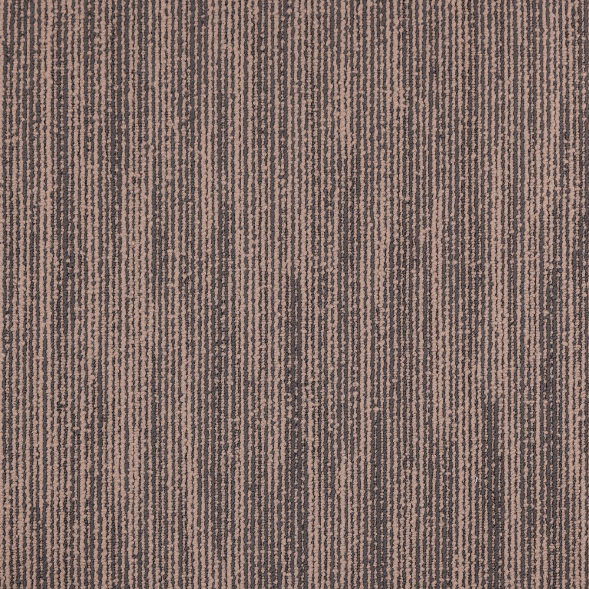 cleartex-incati-myriad-speed-541-24