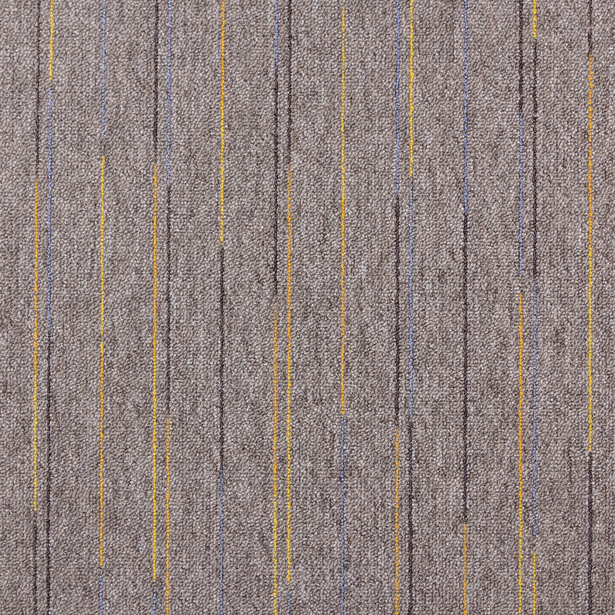 cleartex-incati-zamba-525-22