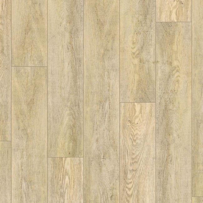 cleartex-grabo-heterogen-plankit-arryn