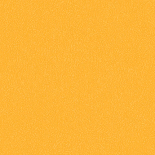 cleartex-grabp-sport-grabosport-elite-3096-00-273